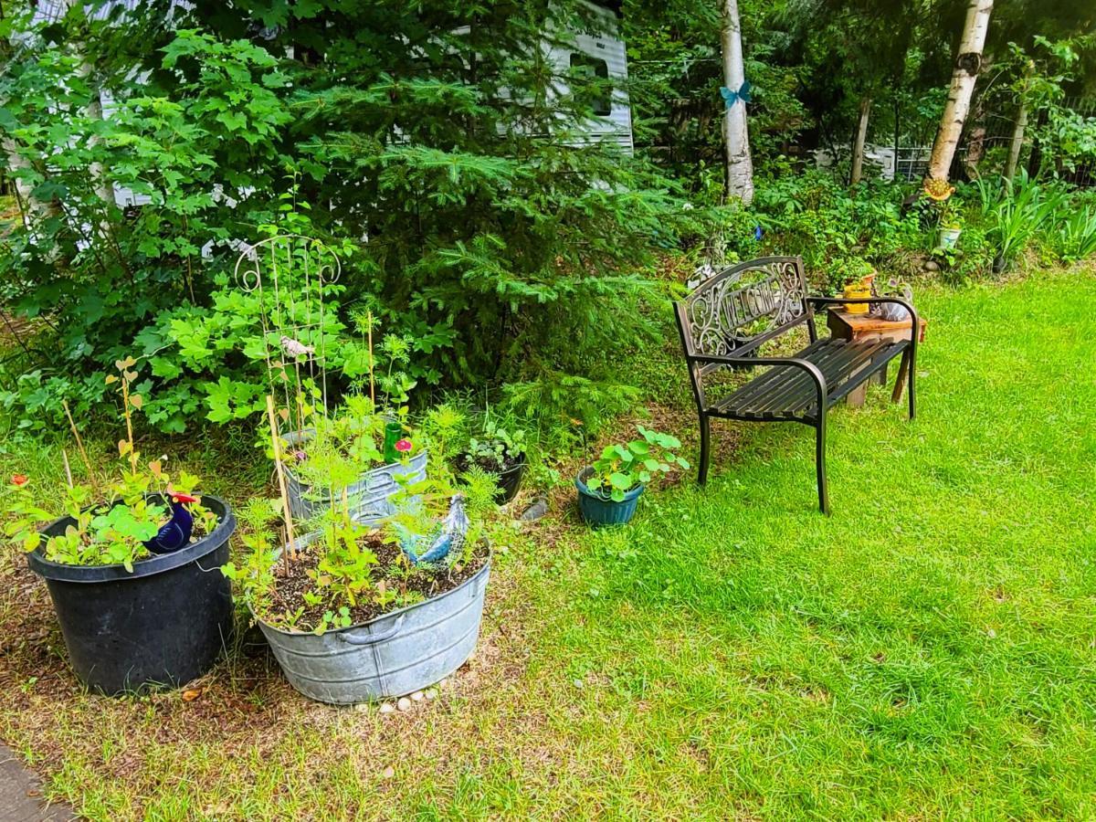 Woodcrest Bed And Breakfast Clearwater Eksteriør bilde