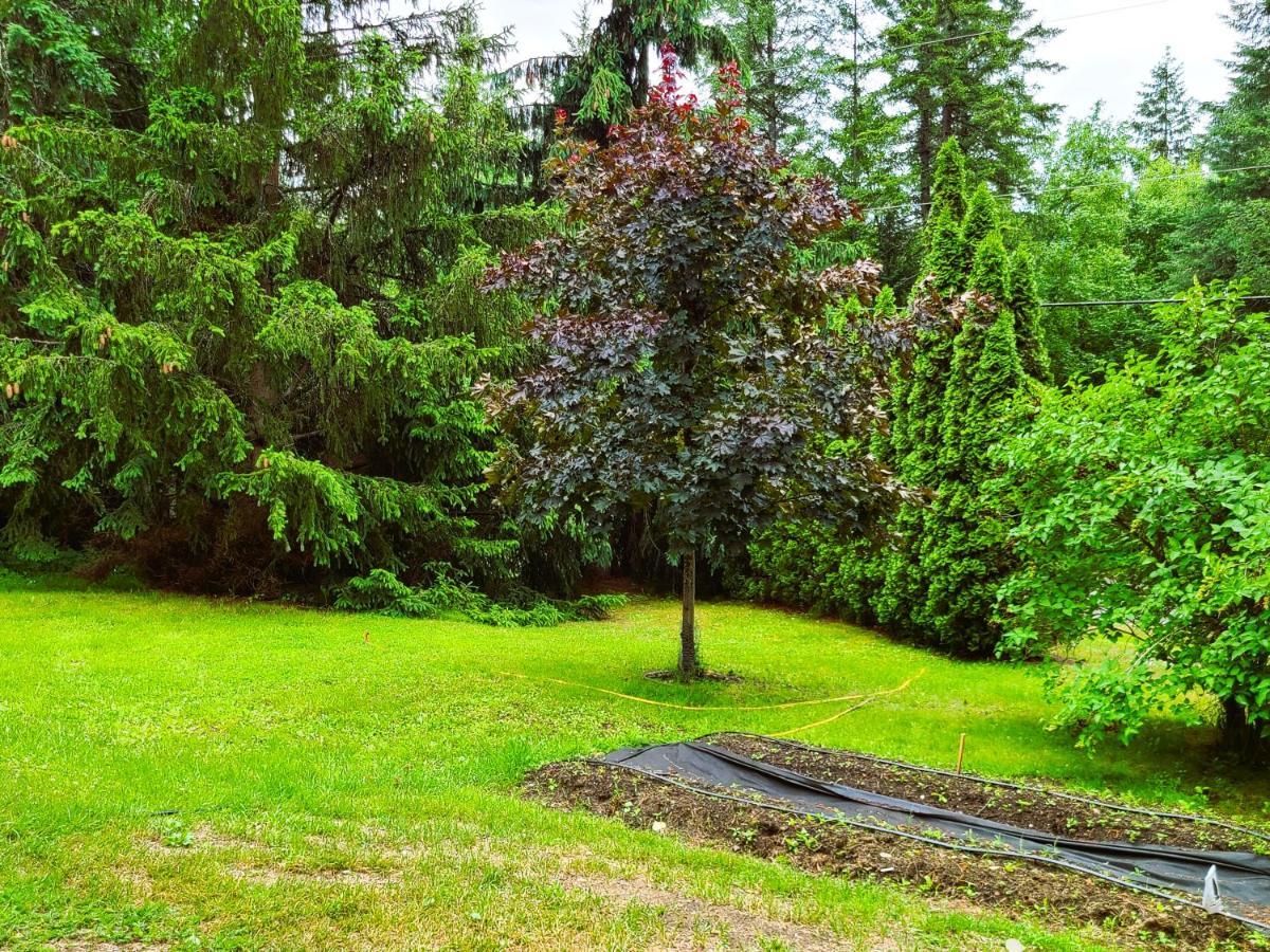 Woodcrest Bed And Breakfast Clearwater Eksteriør bilde
