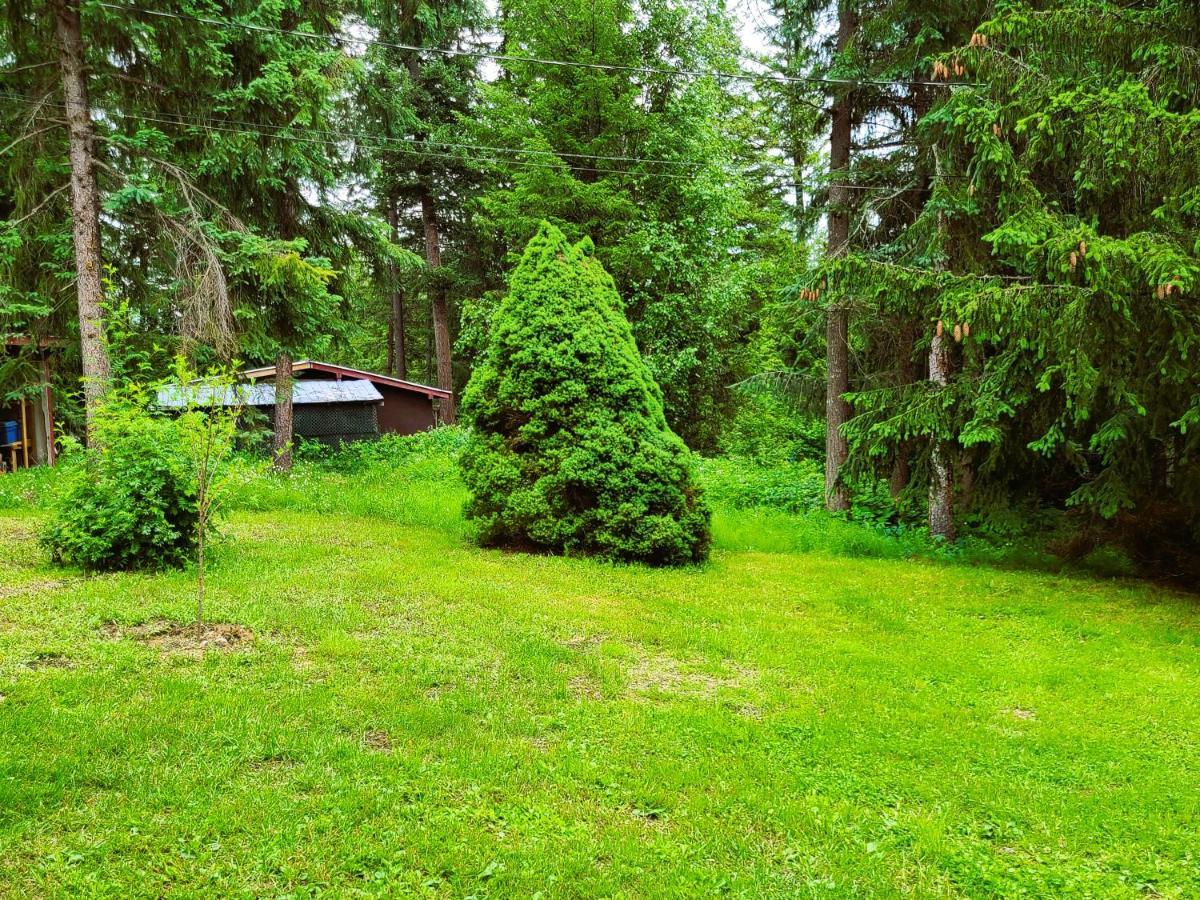 Woodcrest Bed And Breakfast Clearwater Eksteriør bilde